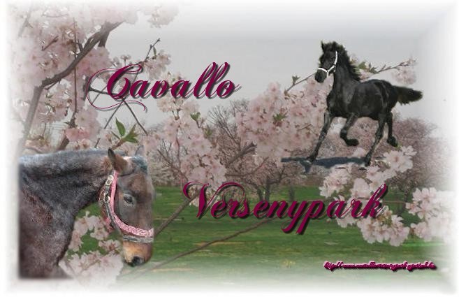 Cavallo Versenypark